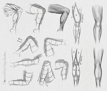 Leg reference