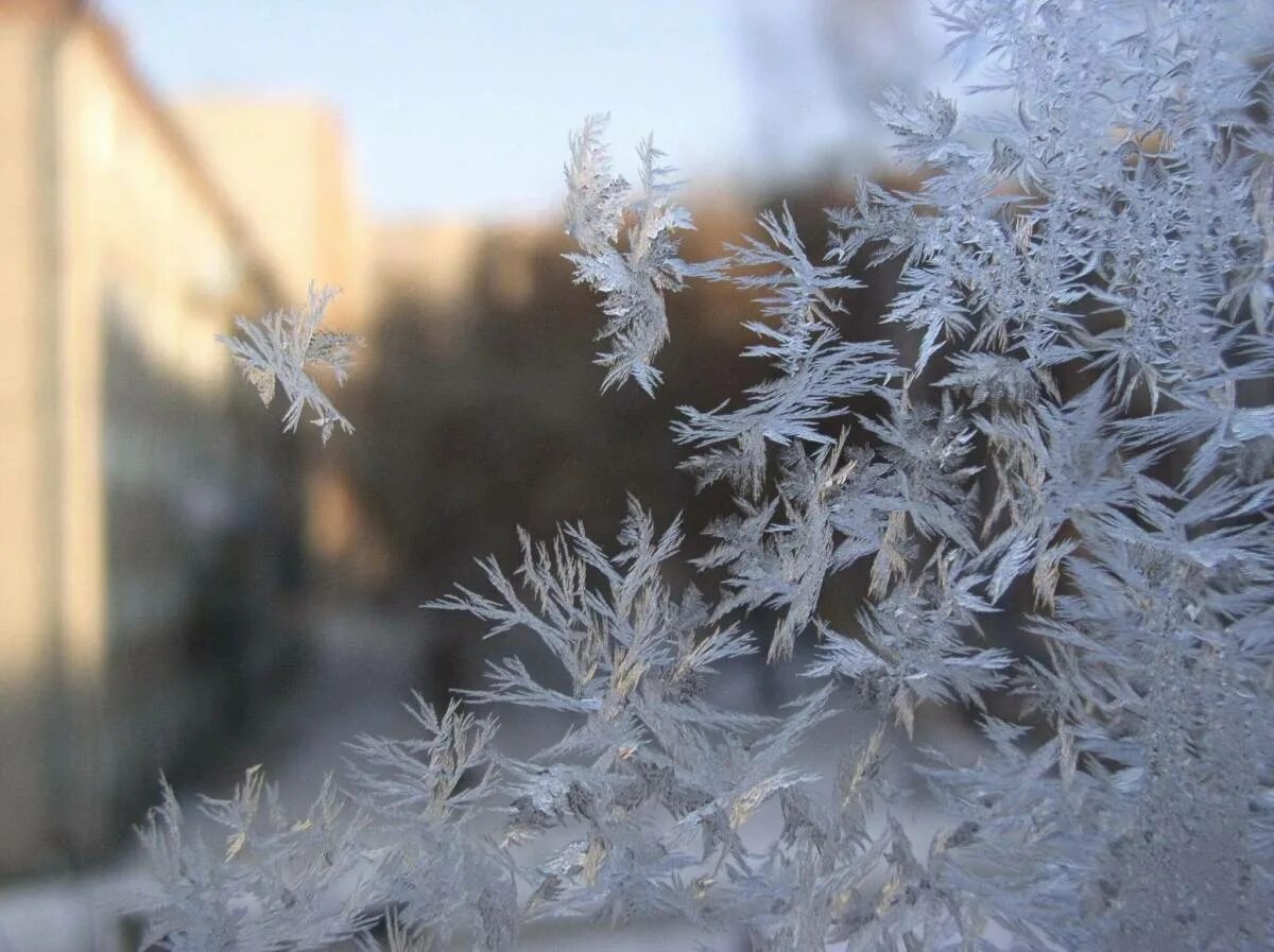 Картинка мороз. Иней на окне. Изморозь на окне. Мороз на окне. Морозное окно.