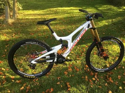 Santa cruz v10