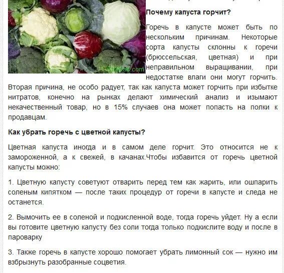 Почему капуста горчит. Сорт который горчит капуста. Можно ли есть свежую капусту. Как горечь убрать с капусты. Почему горчит замороженный