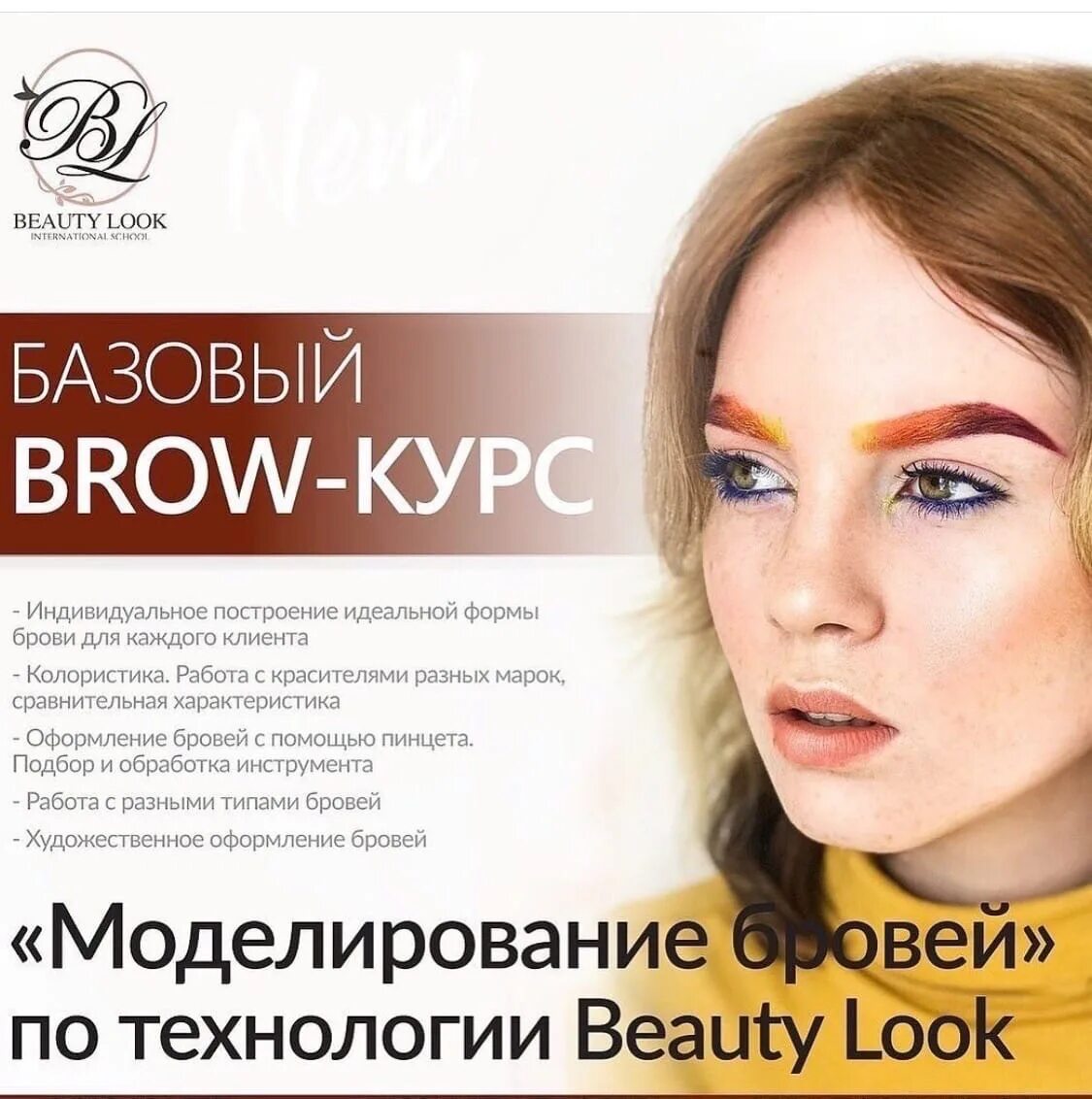Курс по окрашиванию бровей. Программа курса бровист. Базовый курс по бровям. Курсы архитектура бровей. Базовый курс бровиста.