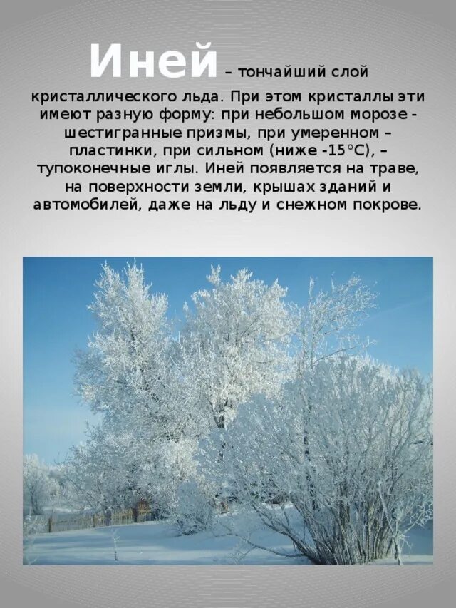 Изморозь презентация. Условия образования изморози. Природные явления для детей в картинках. Кристаллизация иней. На окне серебряном от инея за ночь хризантемы расцвели.