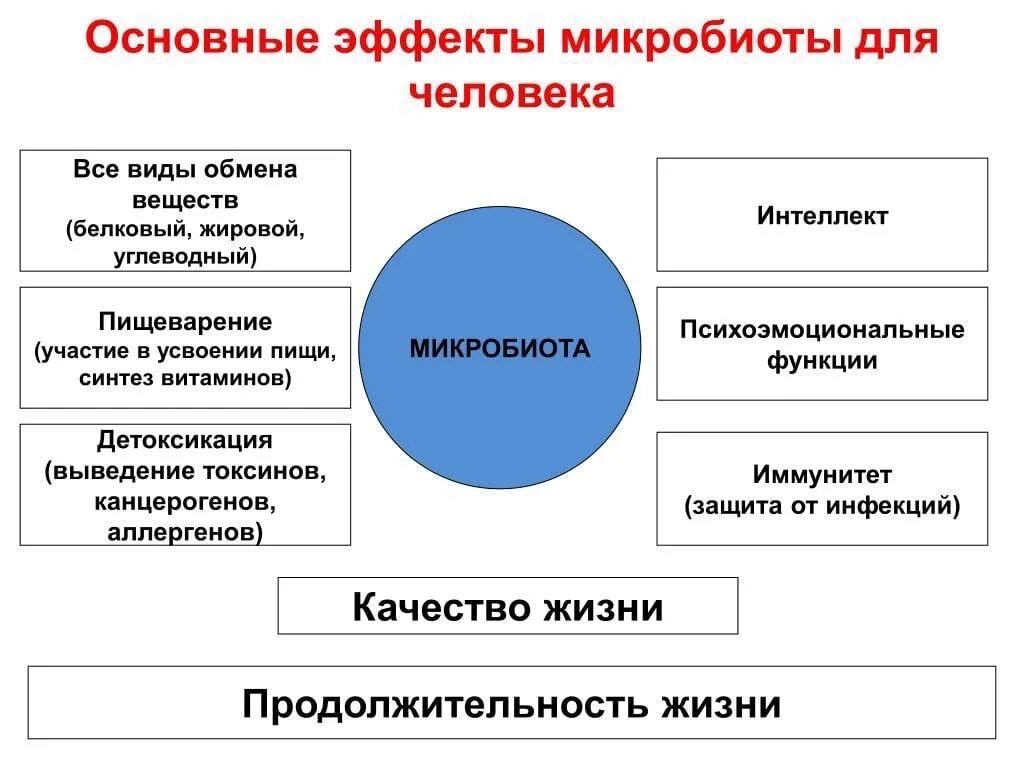 Основные функции личности. Функции микробиоты человека. Основные функции микробиоты. Формирование микрофлоры человека. Формирование микробиоты.