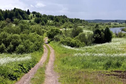 Кодино архангельская область