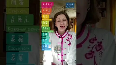 Шпица учит китайский язык