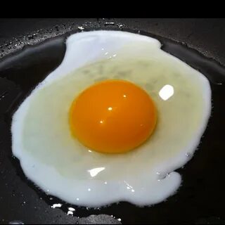 Gun sunny side up