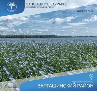 Погода дубровное курганская область
