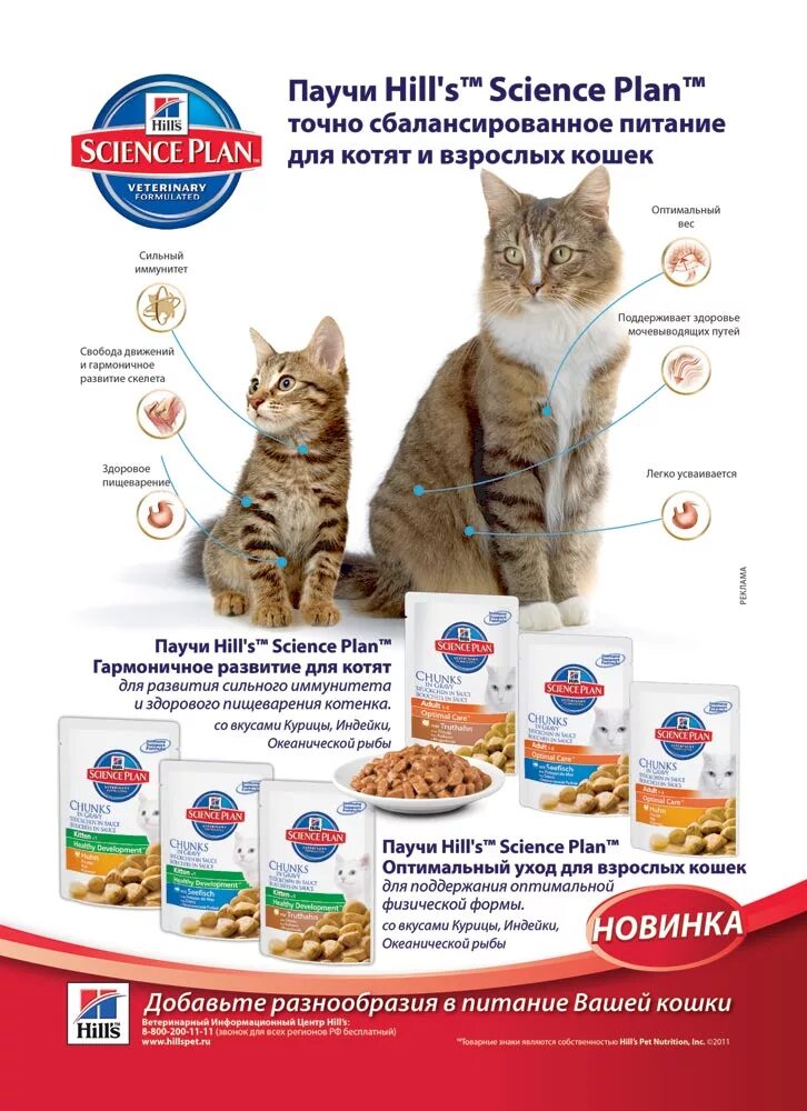 Программа корм для кота. Реклама корма для кошек. Кошачий корм реклама. Корм для кошек некоама. Корм для котов реклама.