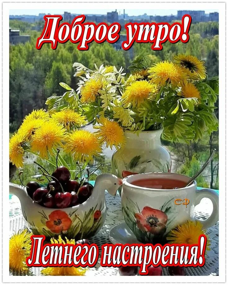 9 октября доброе утро видео. Доброе утро. доброе утро 23 апреля. доброе утро забавные. если вы не умеете радоваться чашке горячего чая то ваша радость.