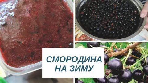 Как переработать смородину