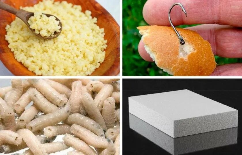 Как приготовить приманку для рыбы из манки