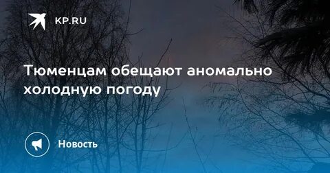 Погода в ноябре 2022