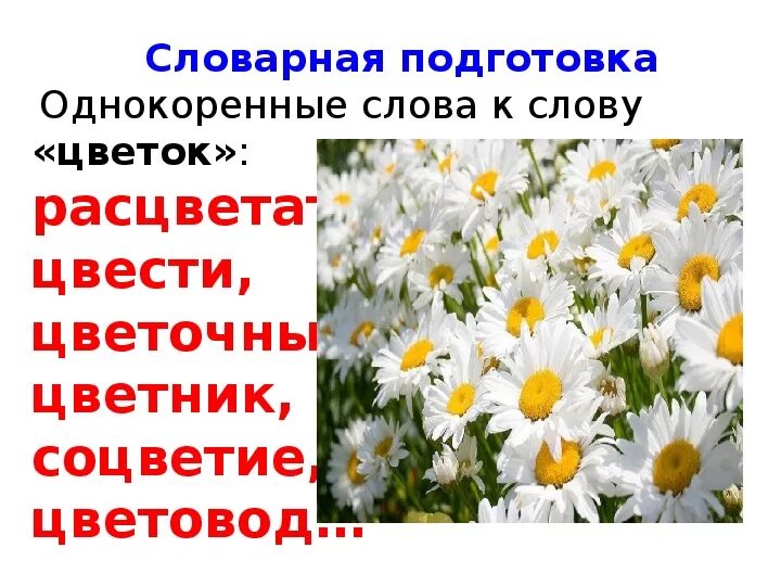 Слово цвести время. Однокоренные слова к слову цветок. Цветок однокоренные слова. Цветок родственные слова. Родственные слова к слову цветок.