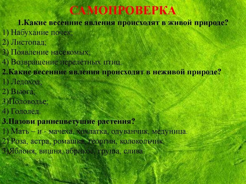 Приведи примеры весенних явлений в живой природе. Вессения явления в живой природе. Весенние явления в живой природе. Весенние явления в неживой природе. Весенние явления в живой природе 2 класс окружающий мир.