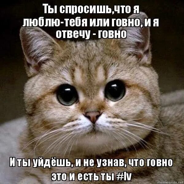 Головой ест выражение