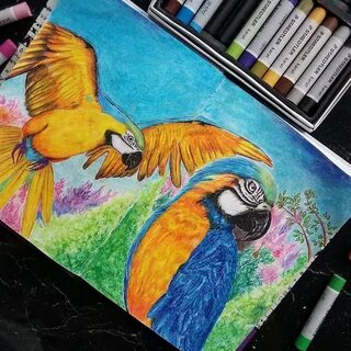 Рисовать карандашом и красками и фломастерами