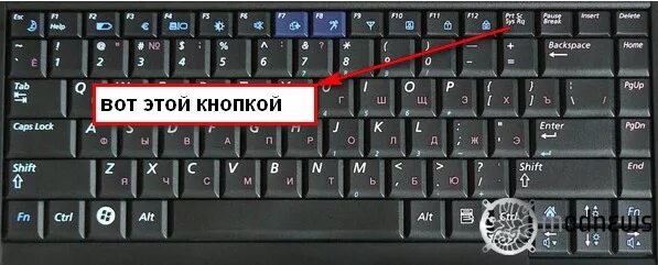 Как сделать скриншот на ноутбуке msi. Скрин экрана на ноутбуке асус. скрин на ноутбуке тошиба. скрин экрана на ноутбуке тошиба. как сделать скрин на ноутбуке hp.