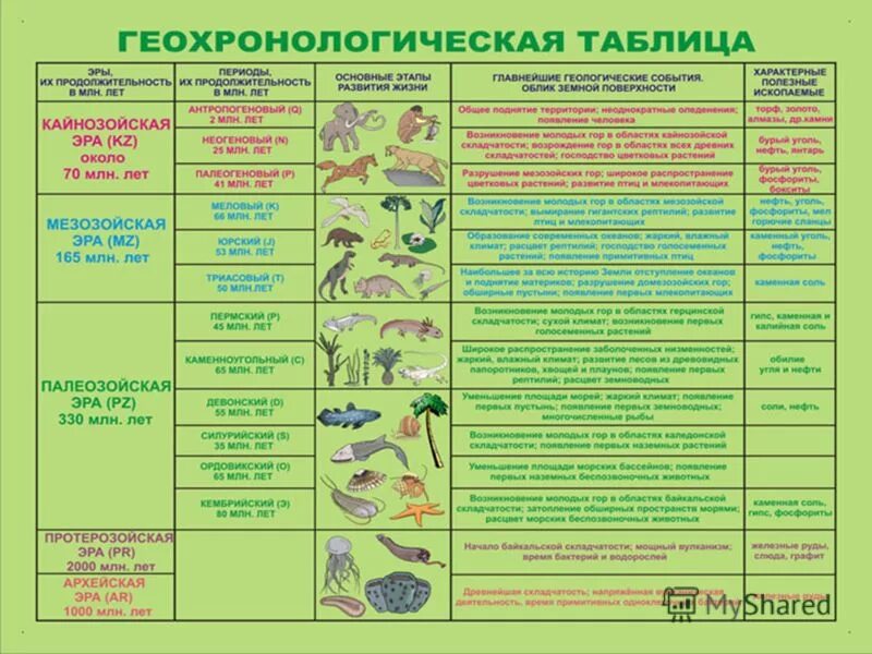 этапы развития земли 7 класс