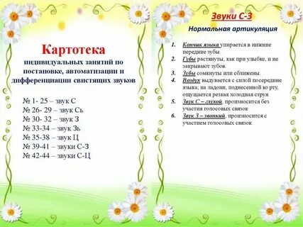 Индивидуальное логопедическое занятие постановка л