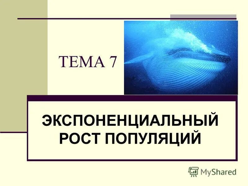 Экспоненциальный рост презентация 10 класс