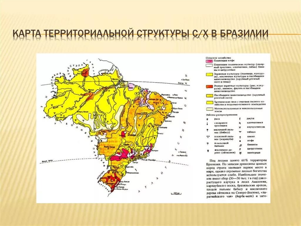 Какие ископаемые в бразилии. Территориальная структура хозяйства Бразилии карта. Территориальная структура хозяйства Бразилии. Сельское хозяйство Бразилии карта. Сельское хозяйство Бразилии Растениеводство карта.