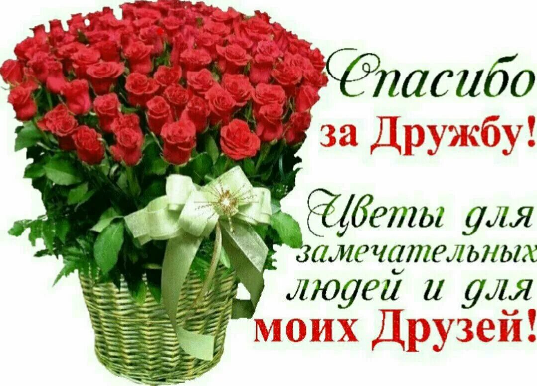 Цветы для моих друзей. Цветы друзьям. Открытки спасибо за дружбу. Спасибо друг. Лучшему другу.