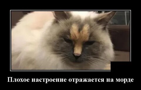Настроение форум