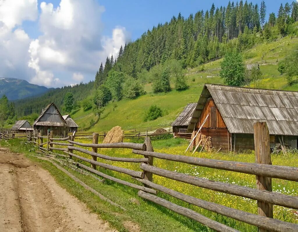 Какая деревня город. Карпаты экопоселение. В селе. Сельская местность. Пейзаж сельской местности.