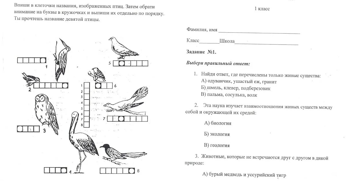 Олимпиадные задания по биологии 7. Задания про птиц для начальной школы. задания олимпиады про птиц для 1 класса. олимпиада по окружающему миру пернатые. задания по олимпиаде экология птицы для дошкольников.
