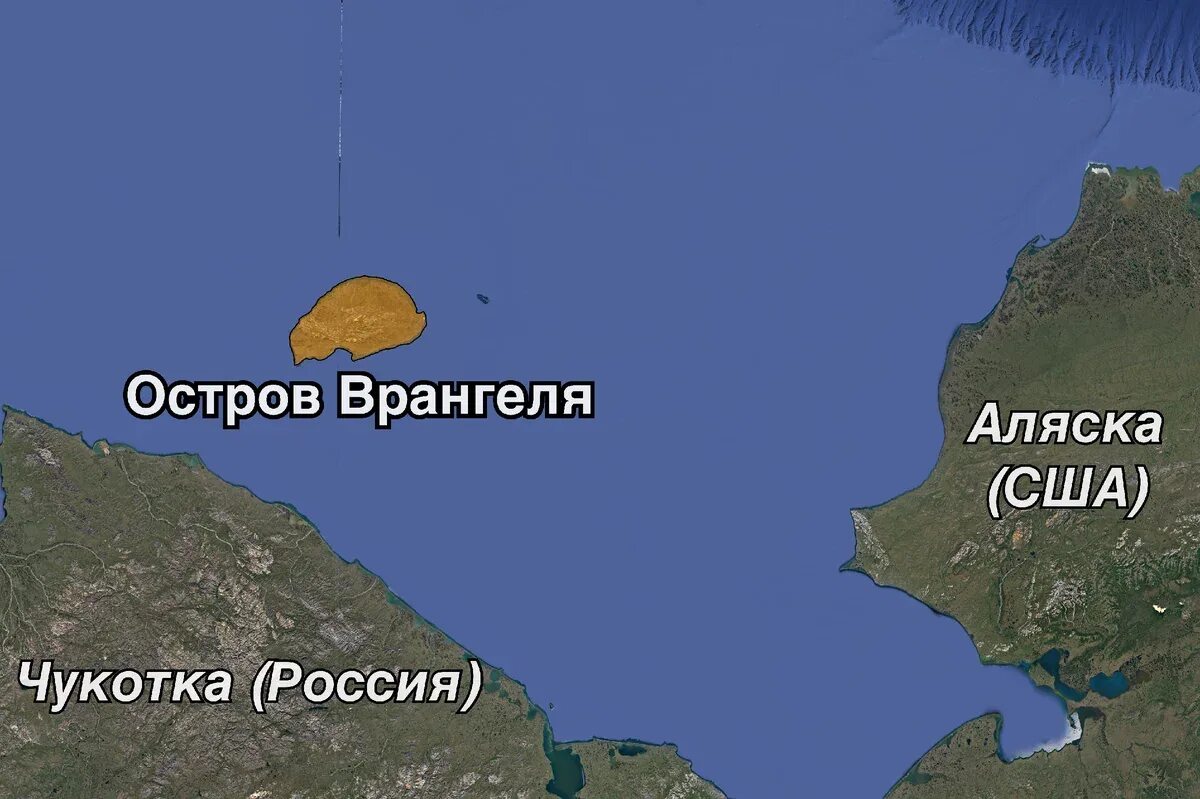 Остров Врангеля. Остров Врангеля российский остров. Остров Врангеля на карте. Заповедник остров Врангеля на карте.