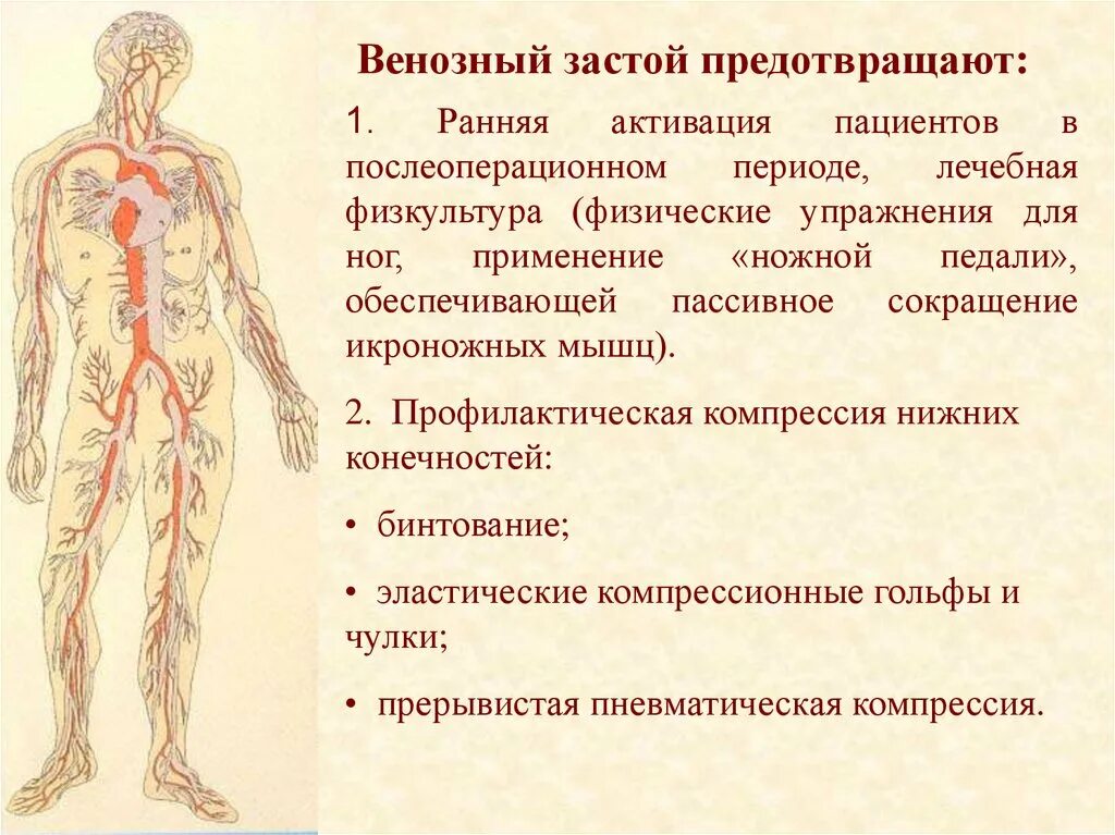 Венозный застой крови. Венозный застой нижних конечностей.