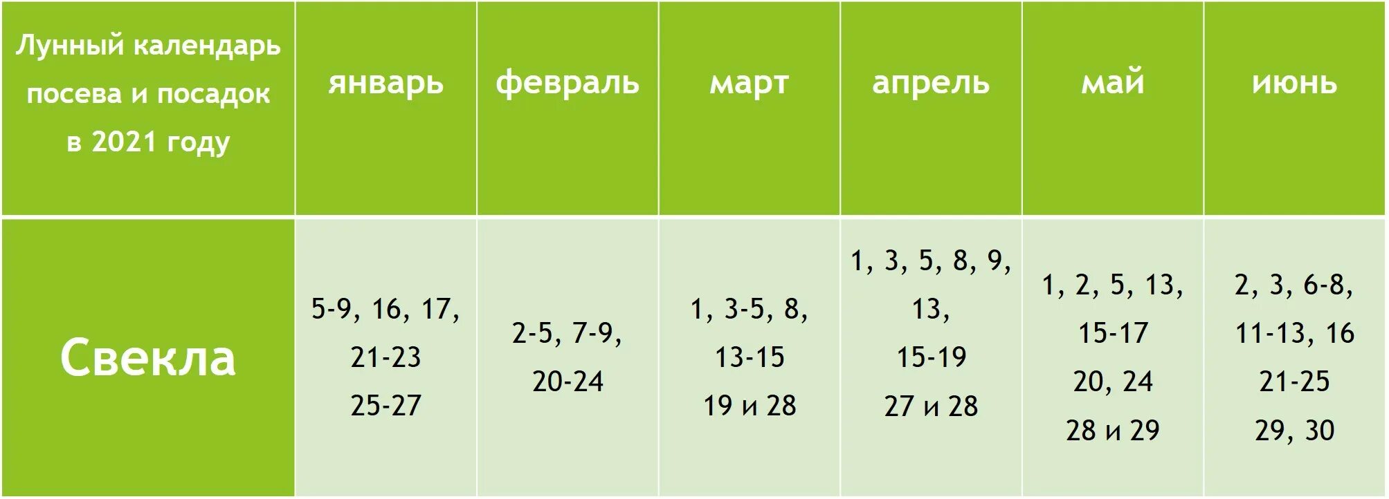 Какого числа сажать свеклу. Благоприятные дни для посадки свеклы. Благоприятные дни для посадки свеклы в грунт :. Благоприятные дни для посадки огурцов в мае 2021. Благоприятные дни для свеклы.