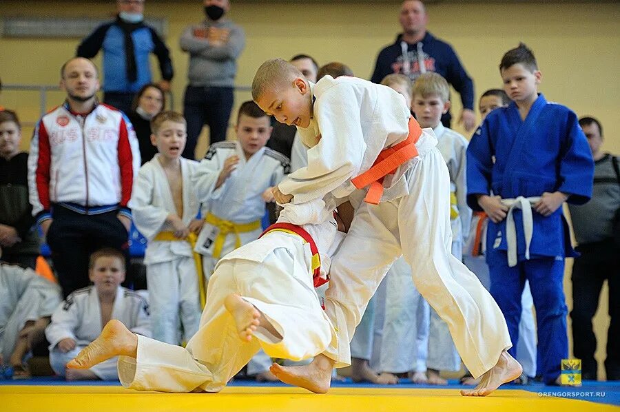 дзюдо командные