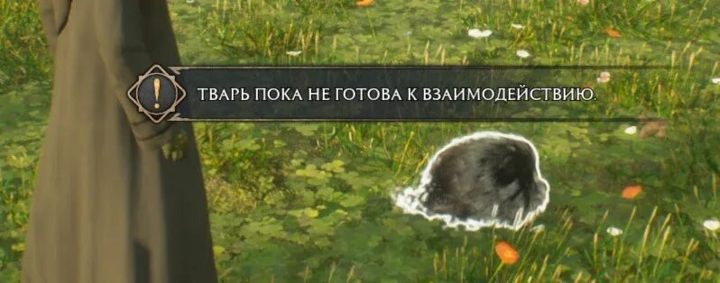 Я пока не готов. Завтра экзамен картинки смешные. Хогвартс легаси мем. Я пока не готов. Приколы про семейную жизнь.