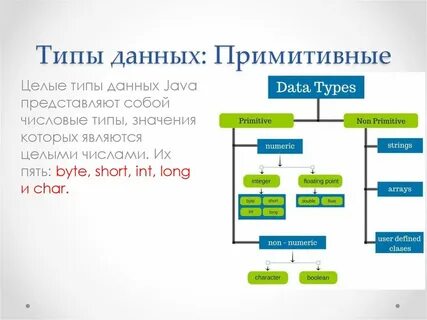 Примитивные и ссылочные типы данных