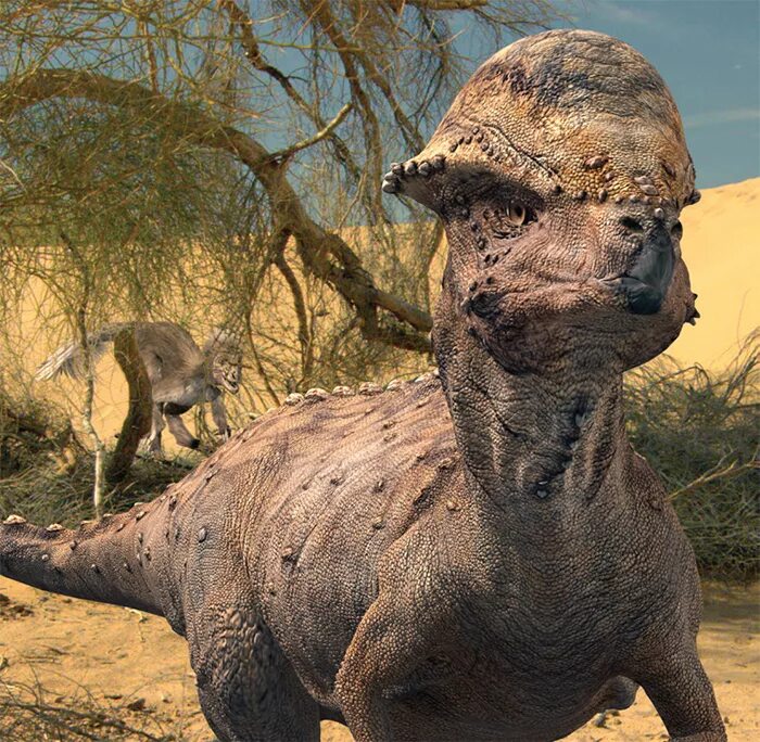 много динозавров. мегалозавр динозавр. красивые динозавры. 5 лучших динозавры. 5 лучших динозавры.