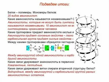 Формула соединения манометра в составе белковых молекул. Формула соединения манометра в составе белковых молекул