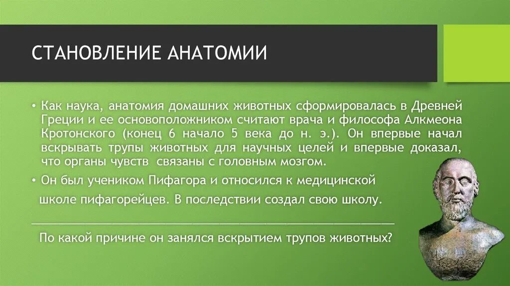 Античный подход. Становление анатомии как науки. Золотой век анатомии. «Золотой век истории анатомии». Анатомия когда появилась.