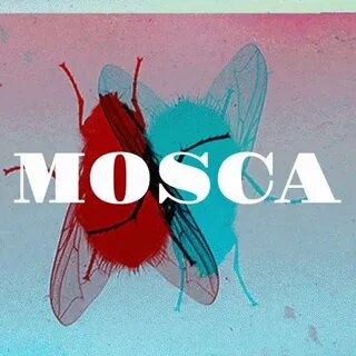 Песня моска моска