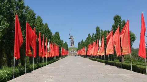 Аллея тополей