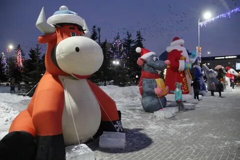 Ели в бузулуке