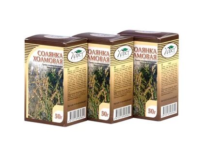 Трава солянки холмовой отзывы