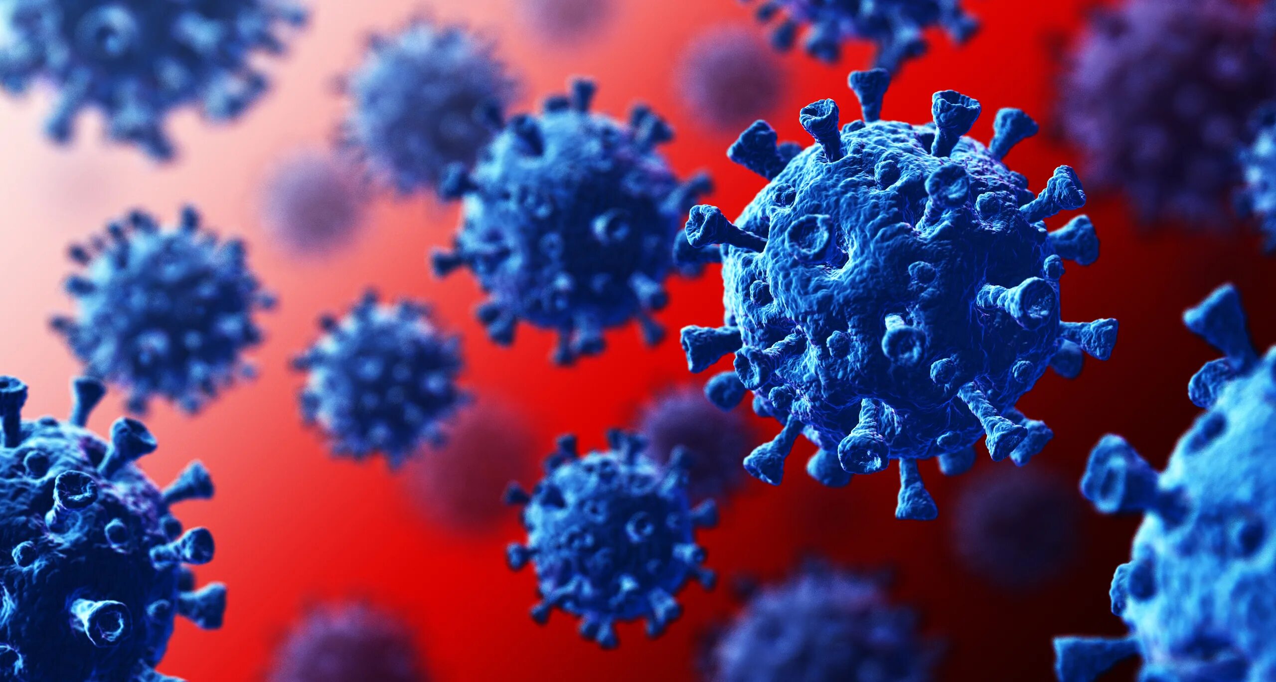 цербер коронавирус. новый коронавирус цербер. цербер коронавирус. новый коронавирус цербер. вирус коронавирус.