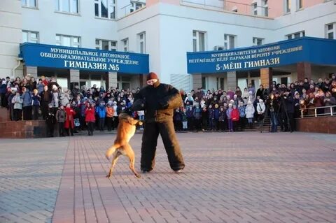 Автономная гимназия