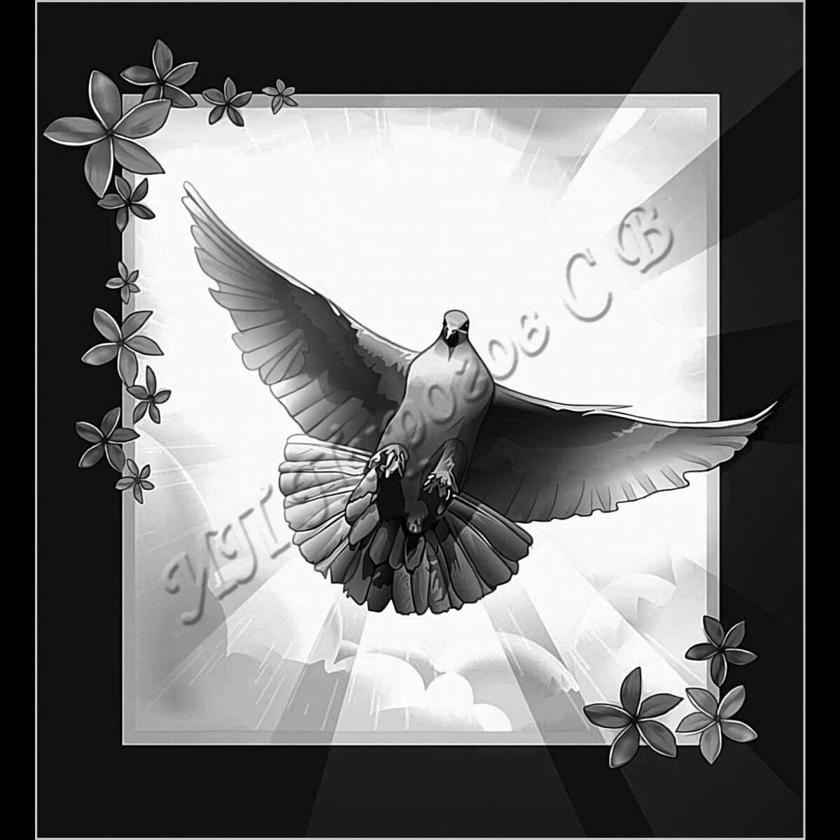 Голубь гравюра. Голубь. Голубь в лучах солнца на памятник. Голуби на памятнике гравировка. Голубь гравировка.