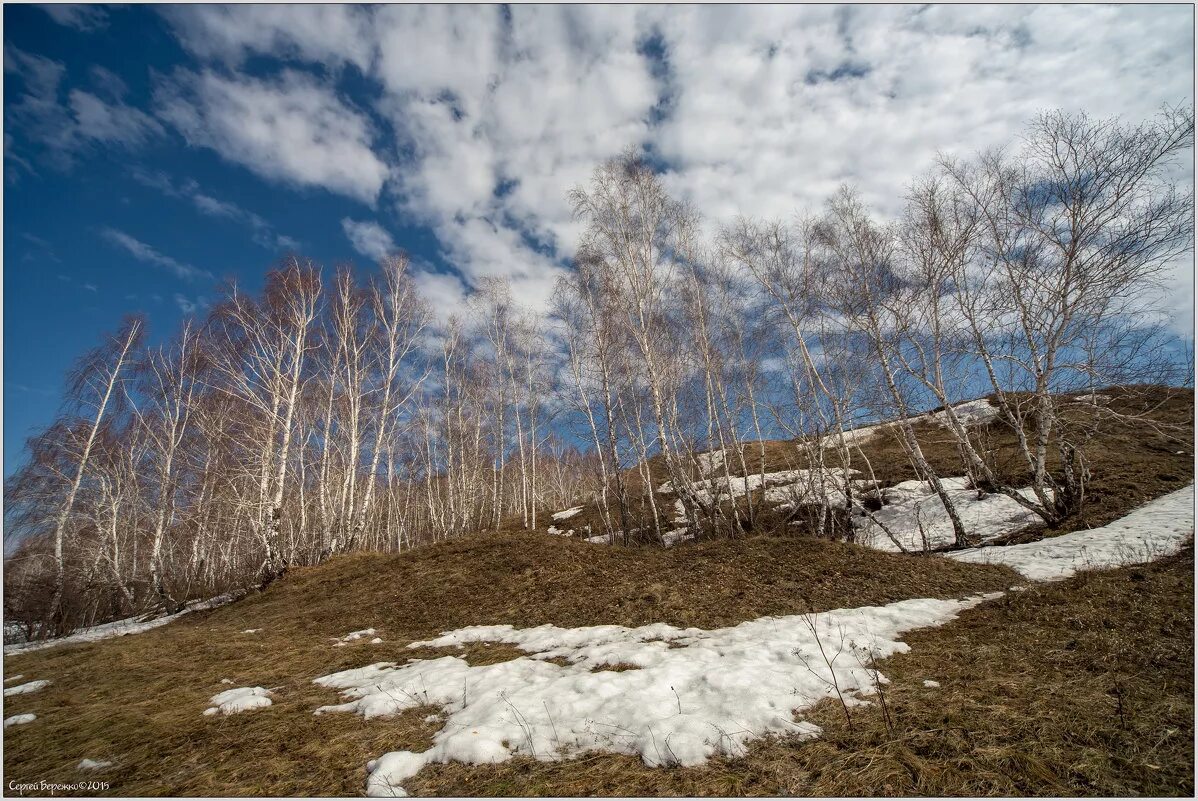 кусково в апреле. объект апрель. объект апрель. объект апрель. апрель.