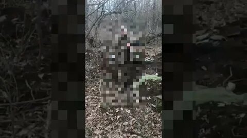 Расстрел украинских видео