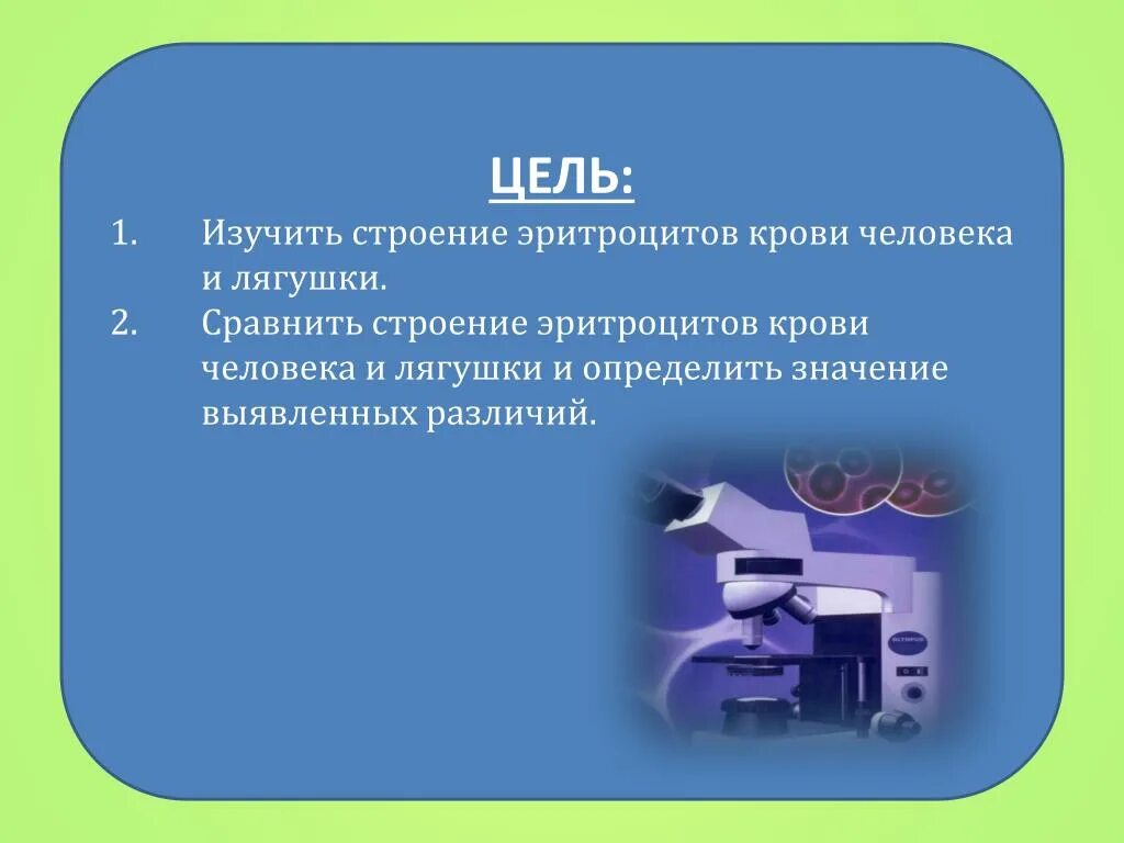 Сходства строения эритроцитов человека и лягушки. Преимущества различия эритроцитов человека и лягушки. кровь человека и лягушки под микроскопом. картинки кровь человека и лягушки. лабораторная работа сравнение крови человека с кровью лягушки 8 класс.