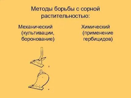 Меры борьбы с сорными растениями