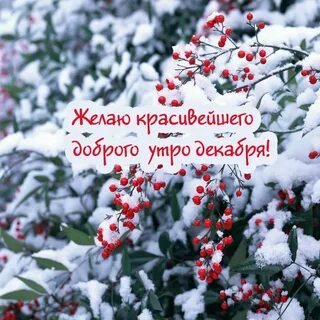 Декабрь картинки красивые
